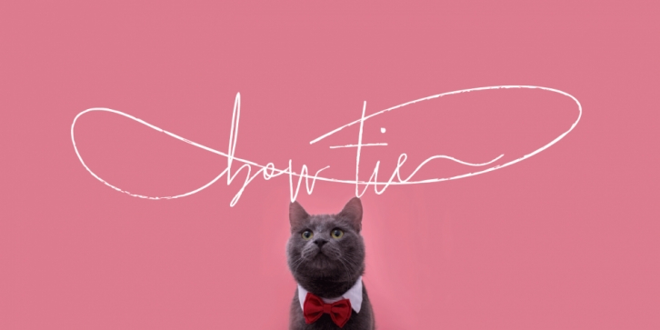Bow Tie Font Download