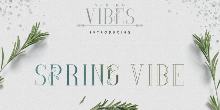 Spring Vibes Serif Font Download