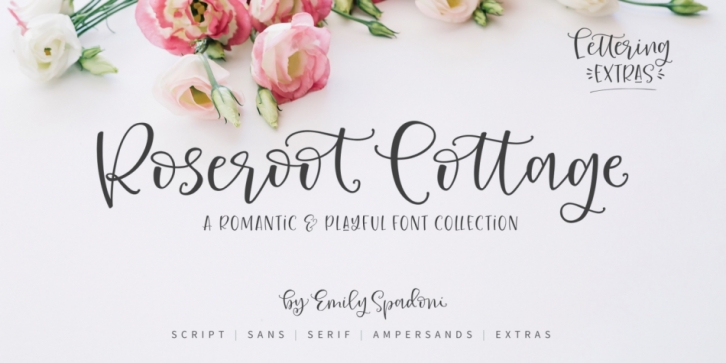 Roseroot Cottage Font Collection Font Download