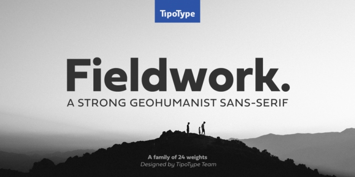 Fieldwork Font Download