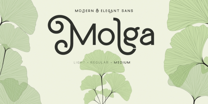 Molga Font Download