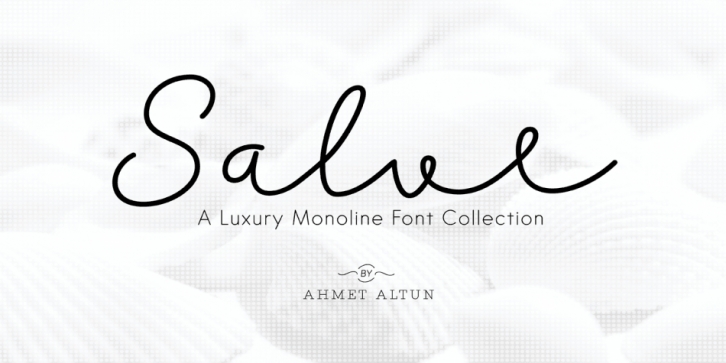 Salve Font Collection Font Download