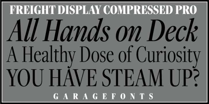 Freight Display Compressed Pro Font Download