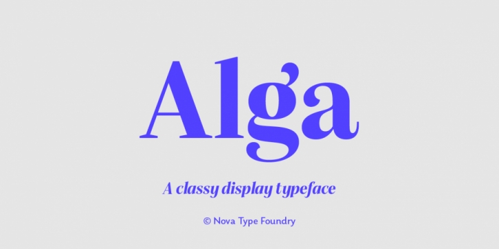 Alga Font Download