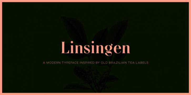 Linsingen Font Download
