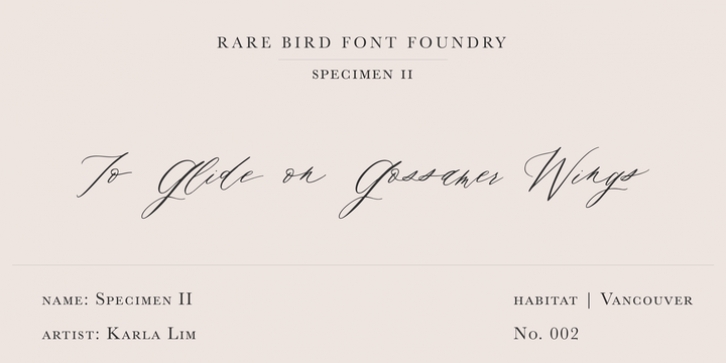 Rare Bird Specimen II Font Download