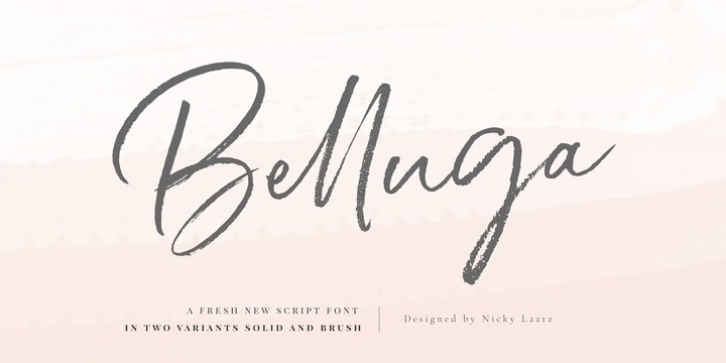 Belluga Font Download