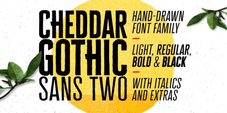 Cheddar Gothic Sans Two Font Download