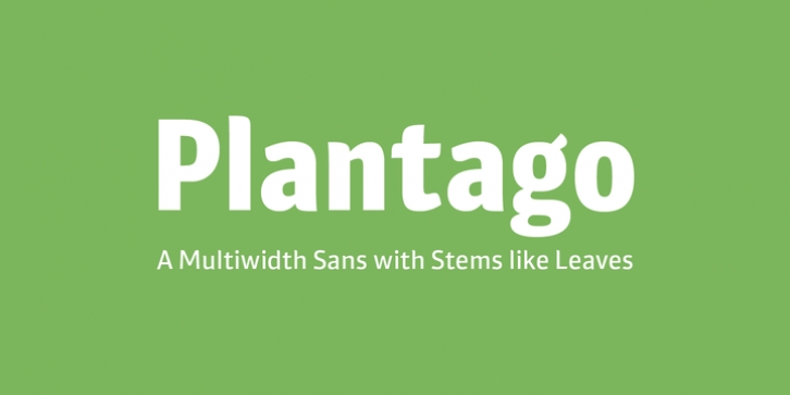 Plantago Font Download