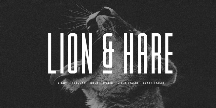 Lion and Hare Font Download