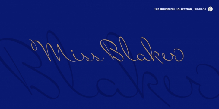 Miss Blaker Pro Font Download