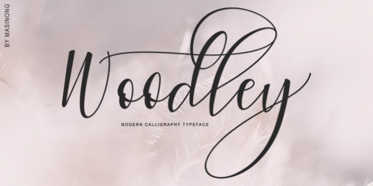 Woodley Font Download