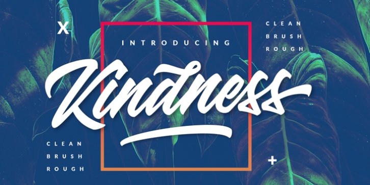 Kindness Typeface Font Download