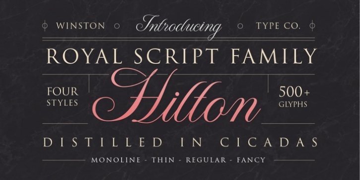 WT Hilton Script Font Download