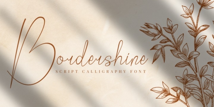 Bordershine Script Font Download