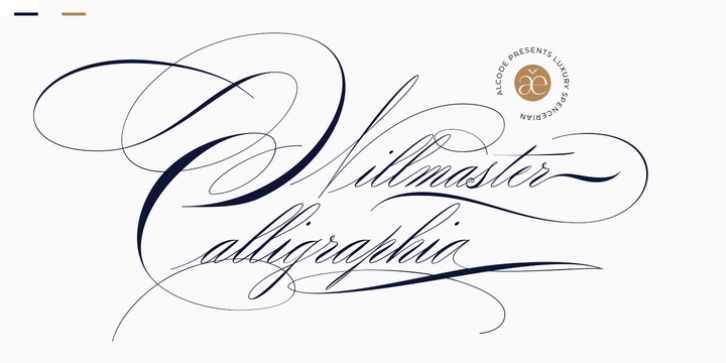 Willmaster Calligraphia Font Download