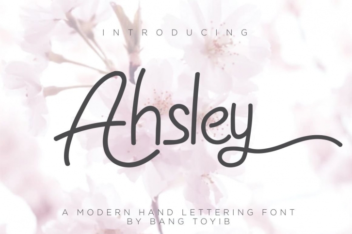 Ahsley Font Download