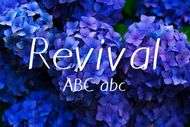 Revival Typeface Font Download