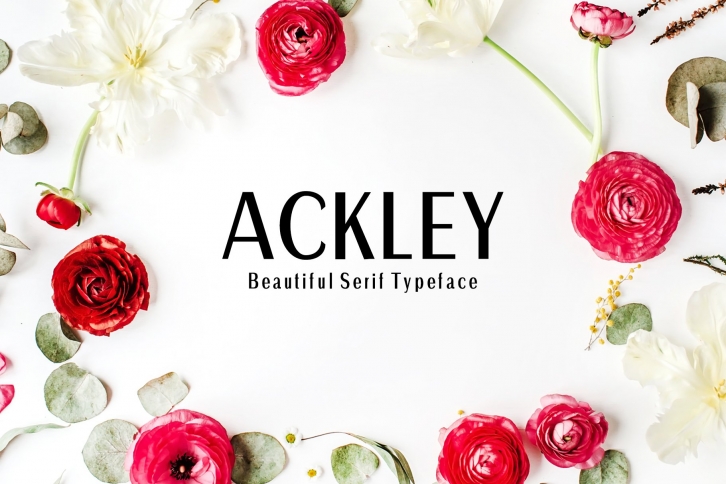Ackley Sans Serif Family Font Download
