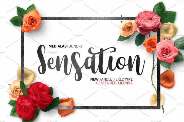 Sensation Font Download