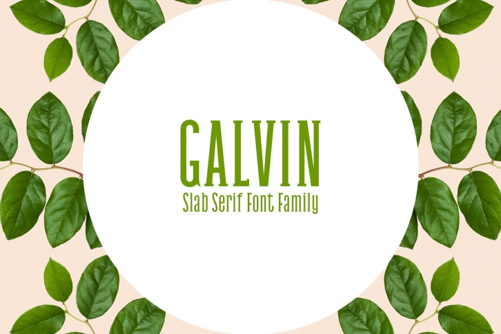 Galvin Slab Serif Family Pack Font Download