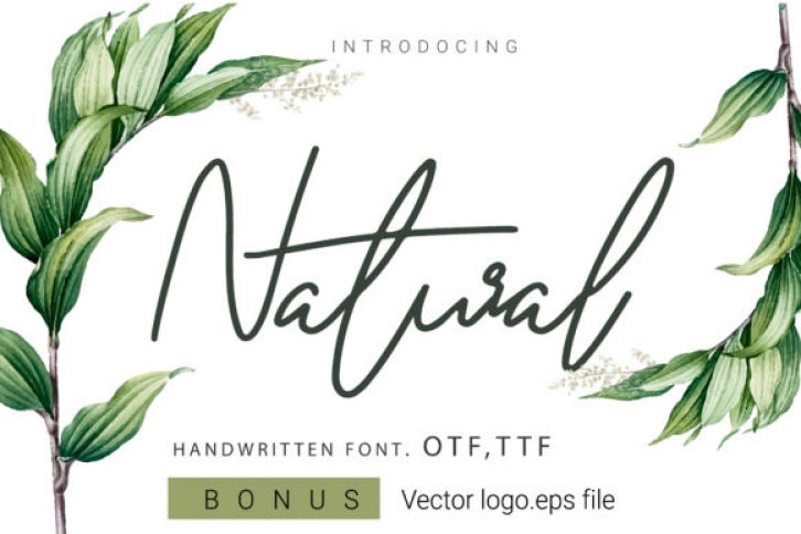 Natural Font Download