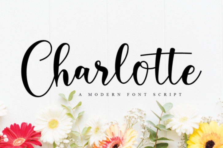 Charlotte Font Download