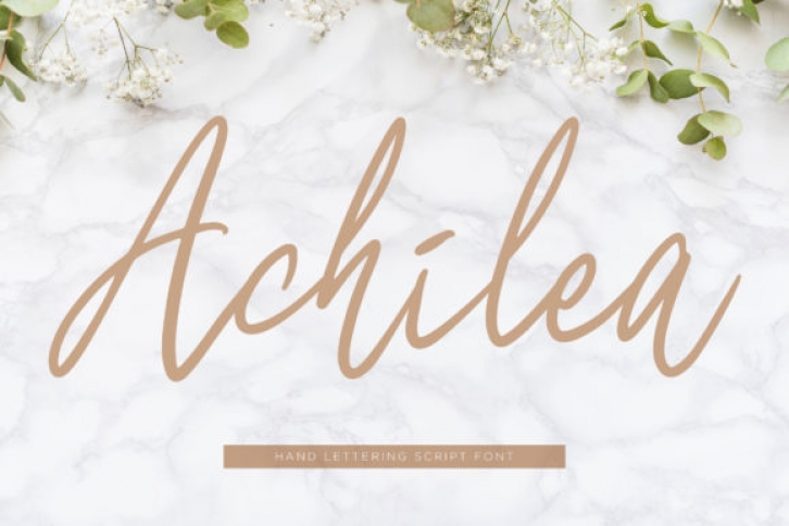 Achilea Font Download