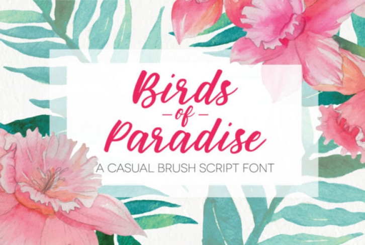 Birds of Paradies Font Download