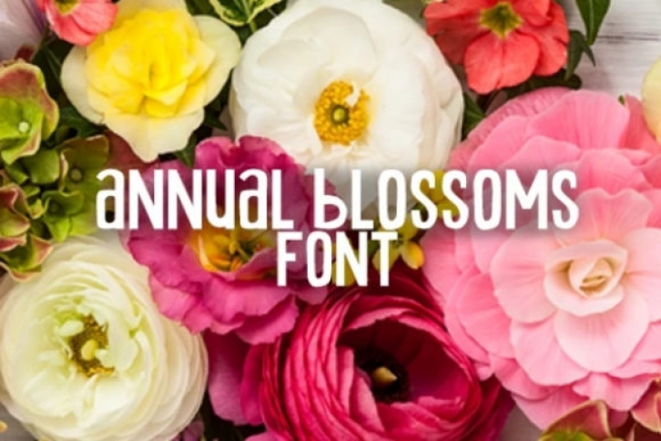 Annual Blossom Font Download