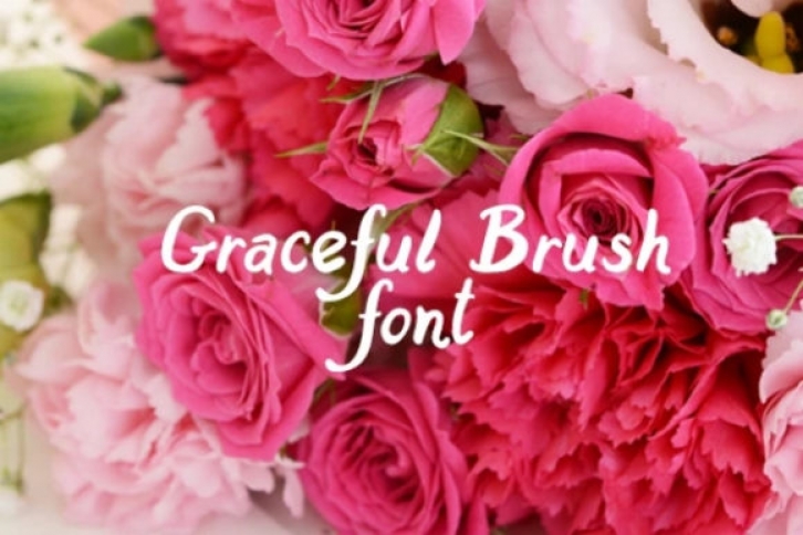 Graceful Brush Font Download