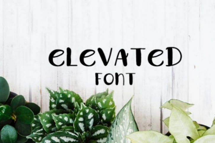 Elevated Font Download