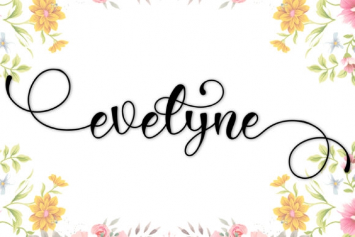 Evelyne Font Download