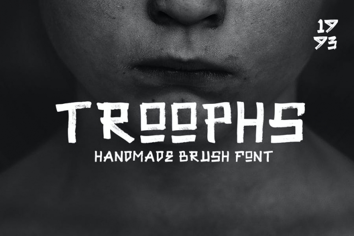Troophs - Brush Fonts Font Download