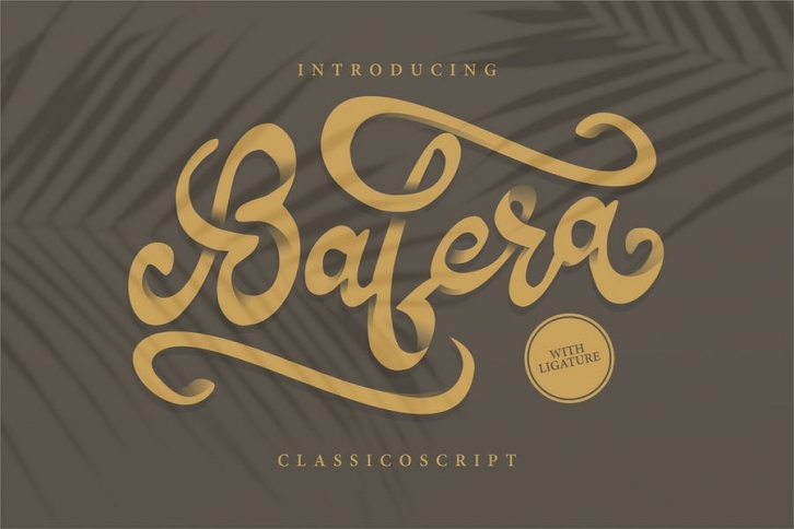 Bafera | Classico Script Font Font Download
