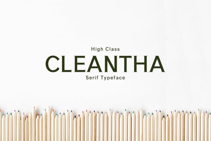 Cleantha Serif Font Family Pack Font Download