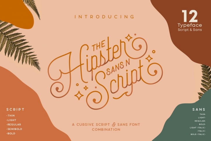 Hipster Style Script and Sans Typeface Font Download