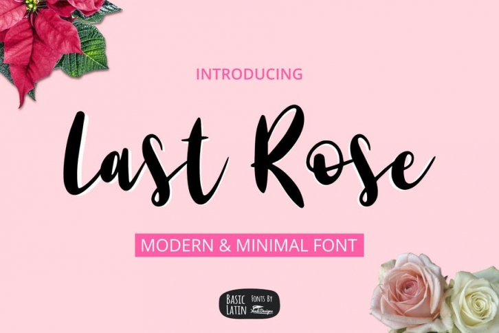 Last Rose Font Font Download