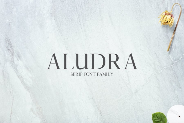 Aludra Serif Font Family Pack Font Download