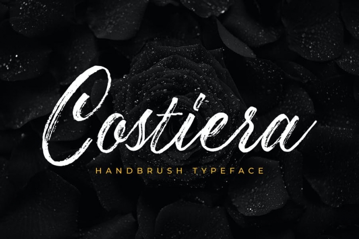 Costiera - Elegant Hanbrush Font Download