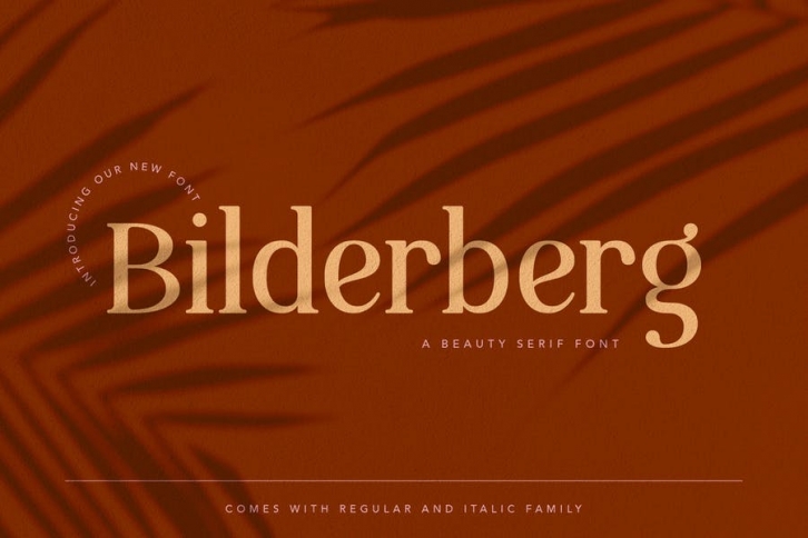 Bilderberg Beauty Serif Font Font Download