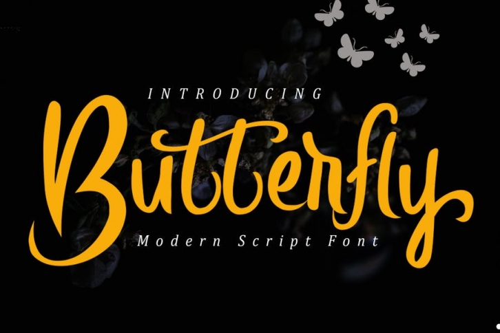 Butterfly Modern Script Font Download