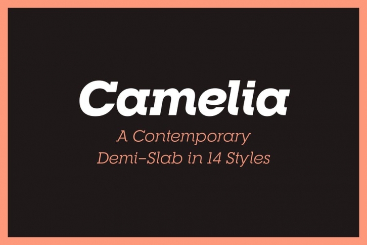 RNS Camelia Font Download