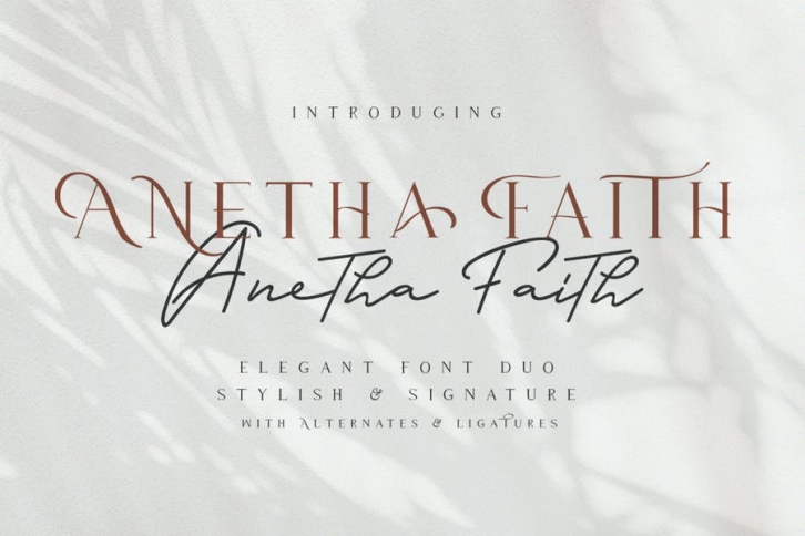 Anetha Faith Typeface Font Download