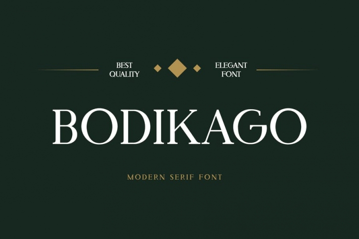 Bodikago Luxury Serif Font Font Download