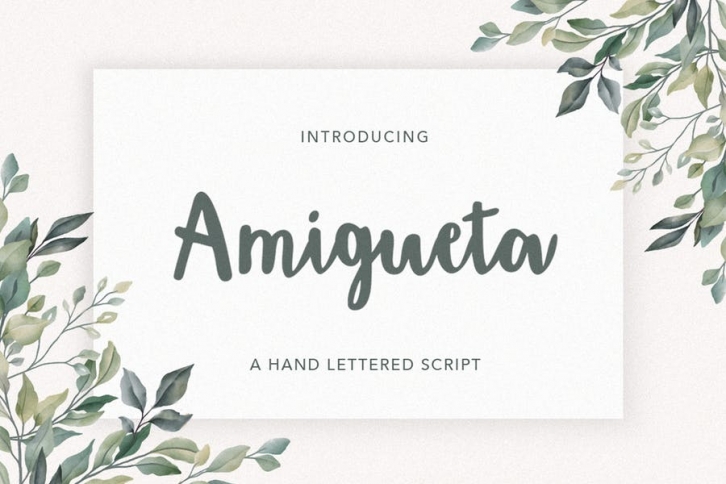 Amigueta Script Font Download