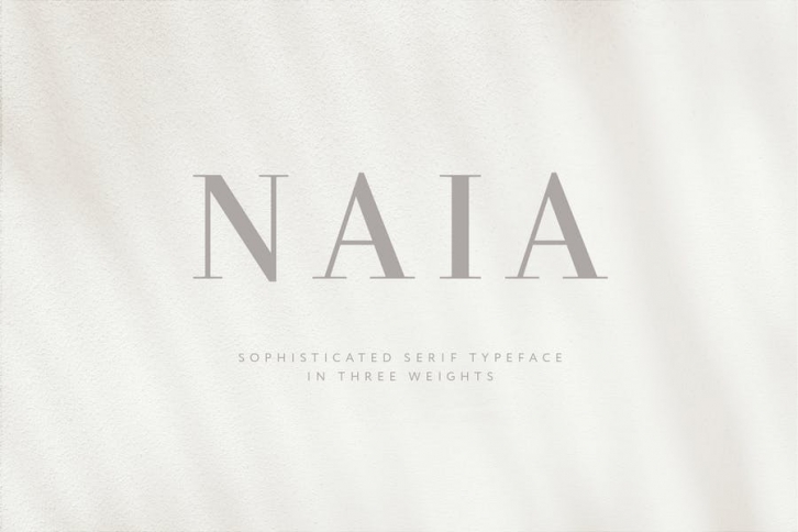 Naia - Sophisticated Serif Typeface Font Download