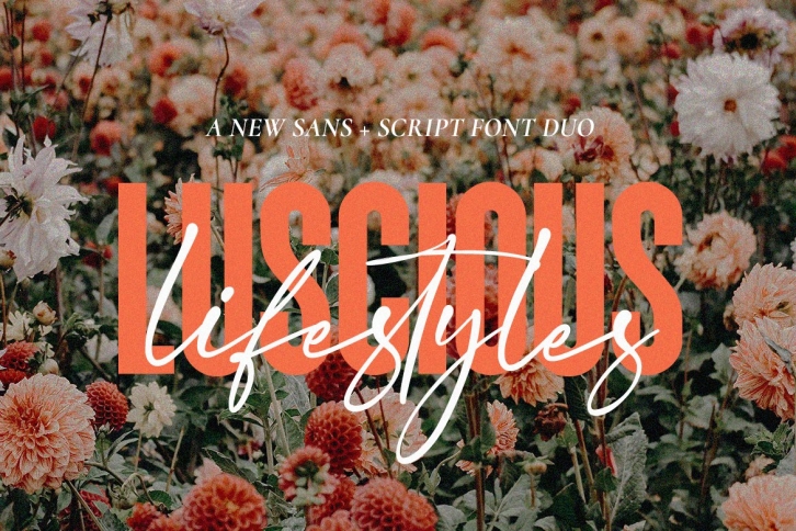 Luscious Lifestyles Duo Font Download