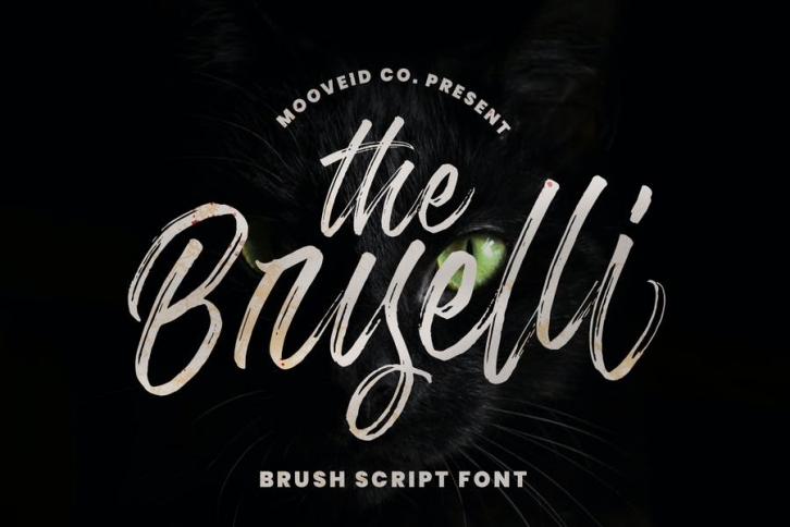 The Bryelli Brush Font Font Download