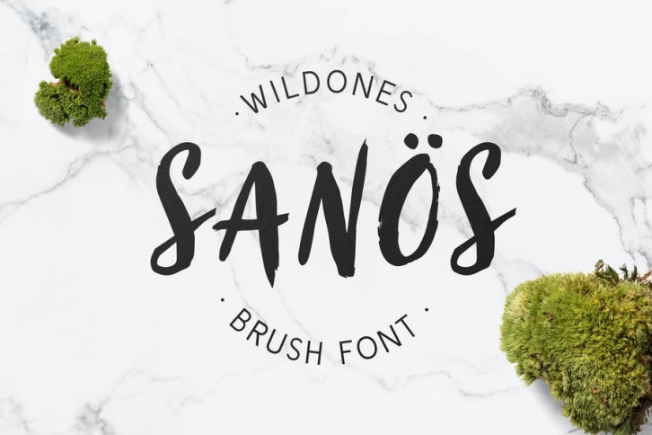 Sanös Brush Script Font Font Download